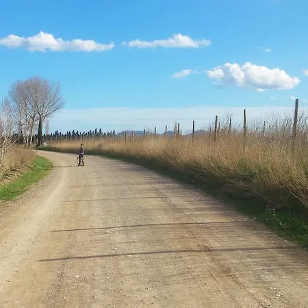 Pensio Vista Alegre Gasthuis